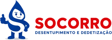 Logo Desentupidora em Pomerode